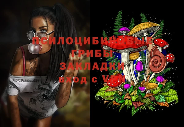 мдпв Новозыбков