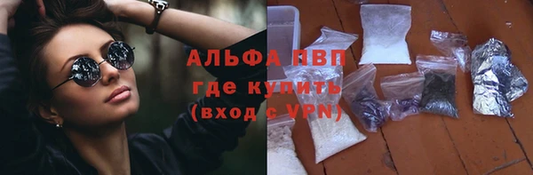 мдпв Новозыбков