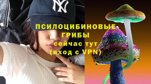 ешки Новокубанск