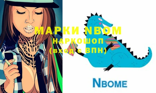 мдпв Новозыбков