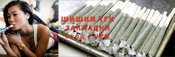 мдпв Новозыбков
