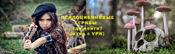 ешки Новокубанск