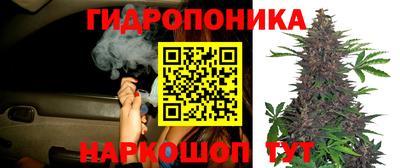 гашиш Аргун