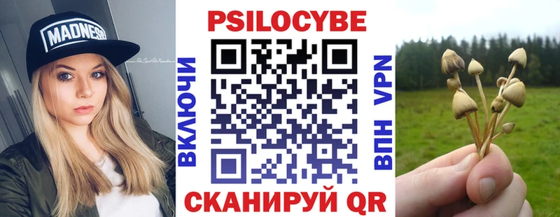 кракен   Бахчисарай  Псилоцибиновые грибы GOLDEN TEACHER 