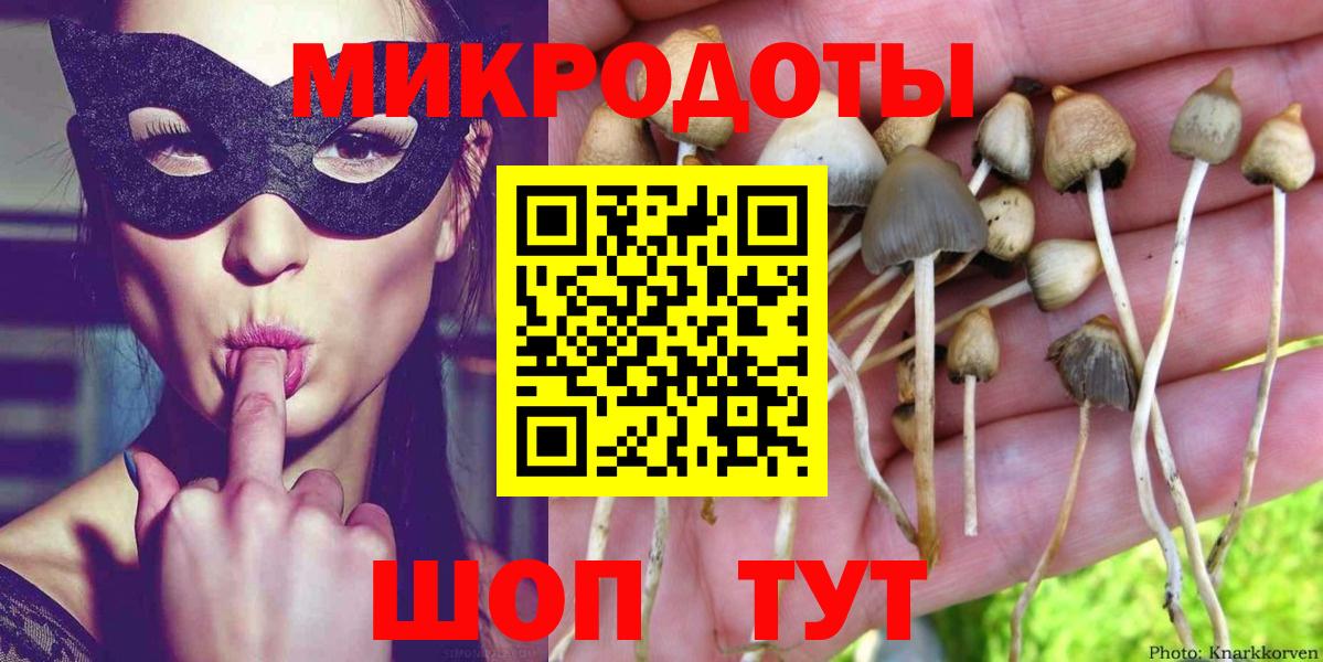 Псилоцибиновые грибы прущие грибы  Вход с VPN  Бахчисарай 