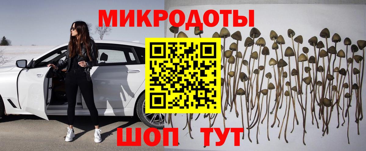 Псилоцибиновые грибы GOLDEN TEACHER Бахчисарай